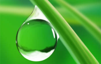 表面张力的表现