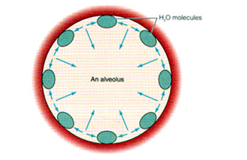 表面张力分子示意图