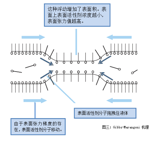图三：Gibbs-Marangoni 机理